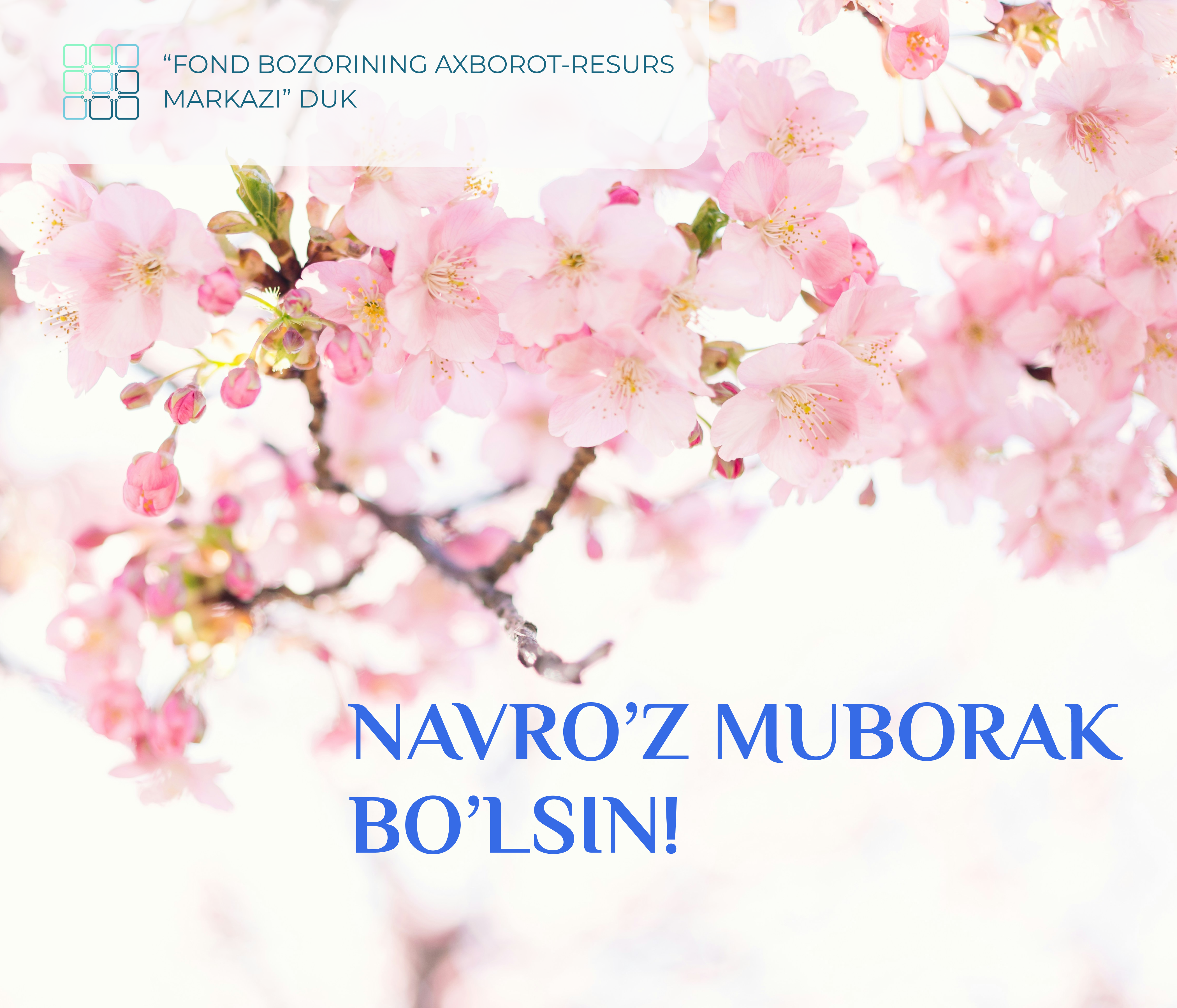 Kapital Bozor News